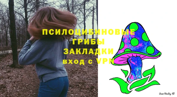стаф Абаза
